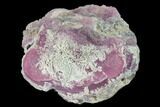 Botryoidal Pink-Purple Smithsonite - Mexico #134044-1